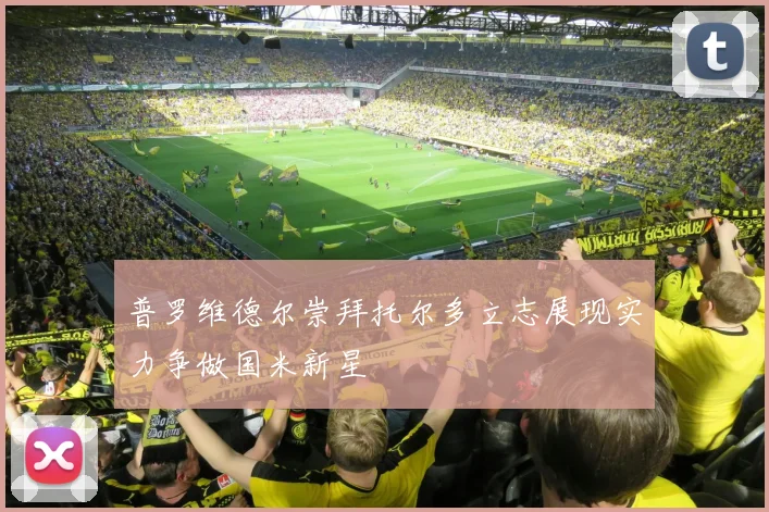 普罗维德尔崇拜托尔多立志展现实力争做国米新星
