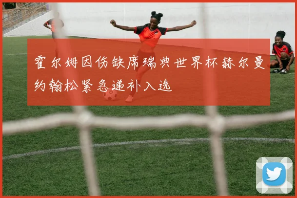 霍尔姆因伤缺席瑞典世界杯赫尔曼约翰松紧急递补入选